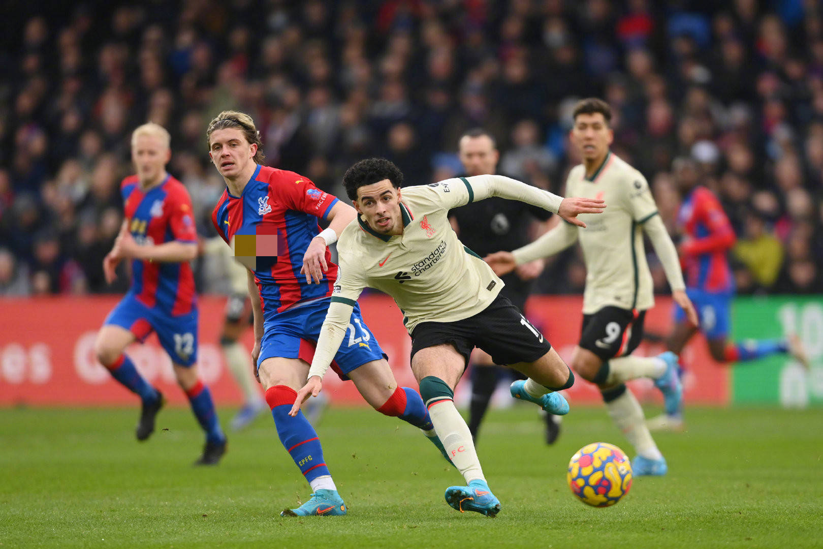 仅增强了他 仅增强了他